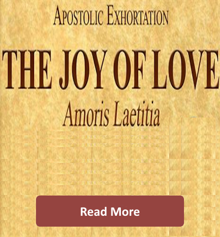 Faith Circles. Check out a Faith Meditation on the Beatitudes with St. John Paul II.