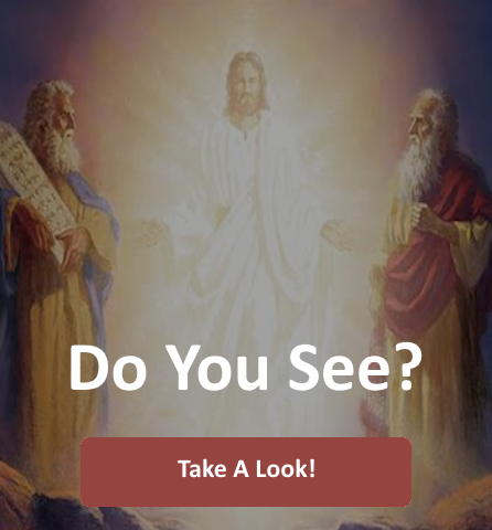 Faith Circles: “Do You See?” Learn the Gospel and read Pope Francis’ commentary.
