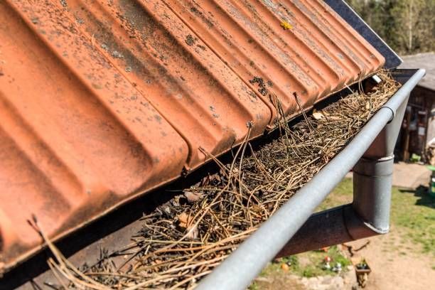 Quando, Come e Perché Pulire le Grondaie dagli Aghi di Pino