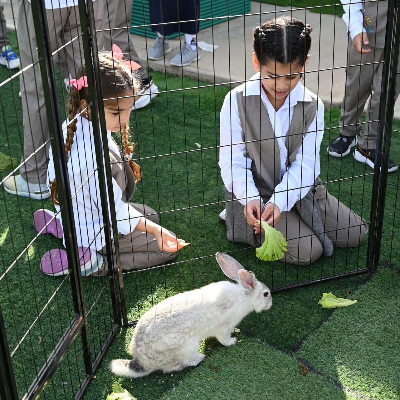 A boy and a girl are playing with a rabbit in a cage.