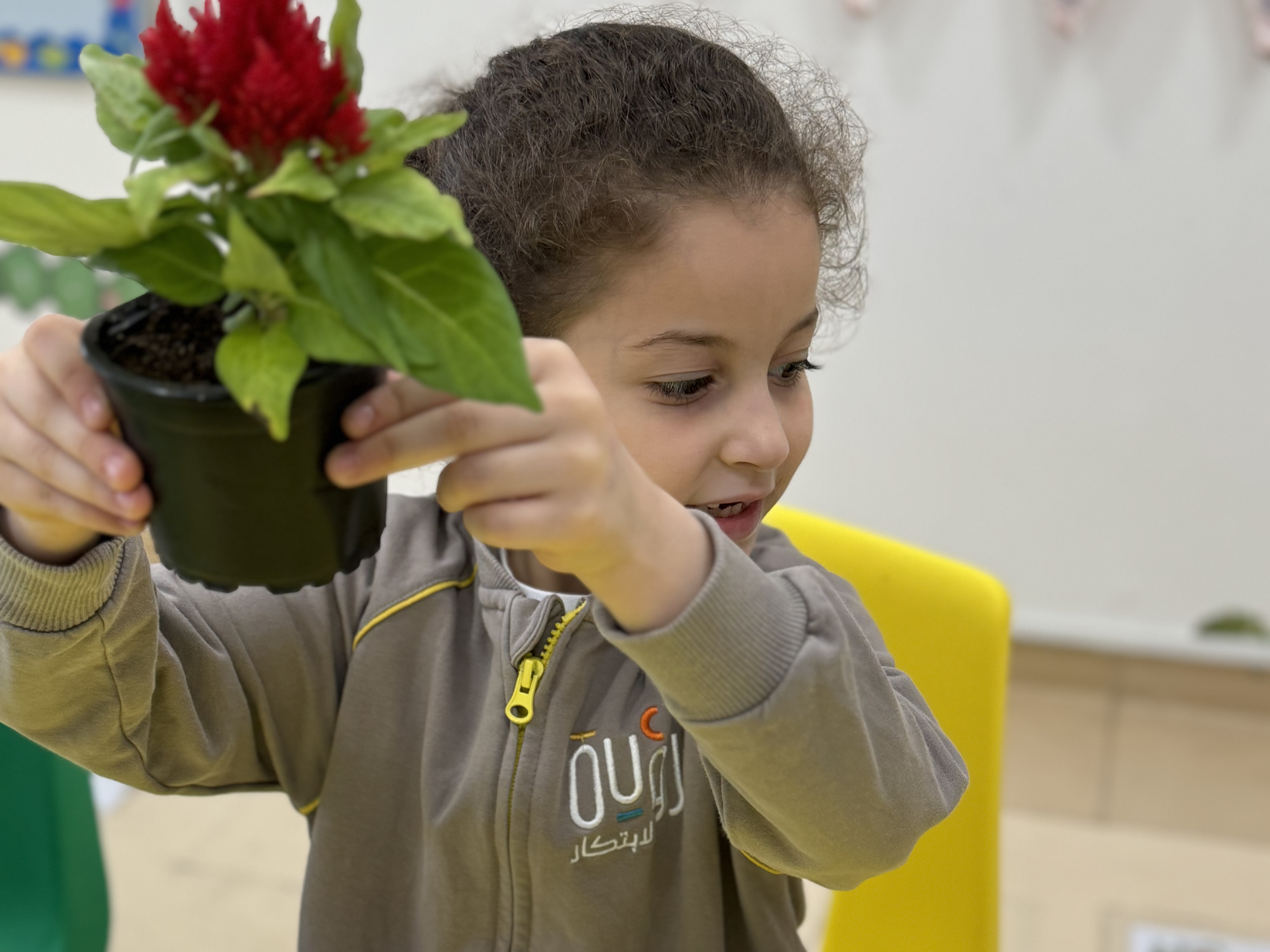 A little girl is holding a potted plant with a red flower in it.