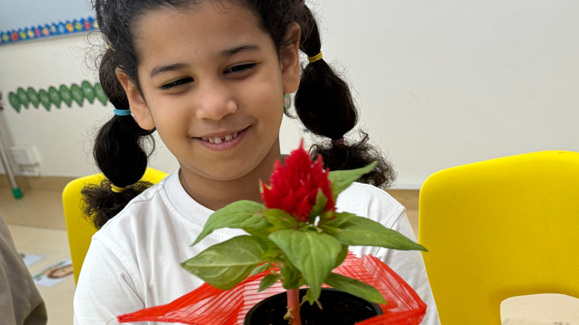 A little girl is holding a potted plant with a red flower in it.