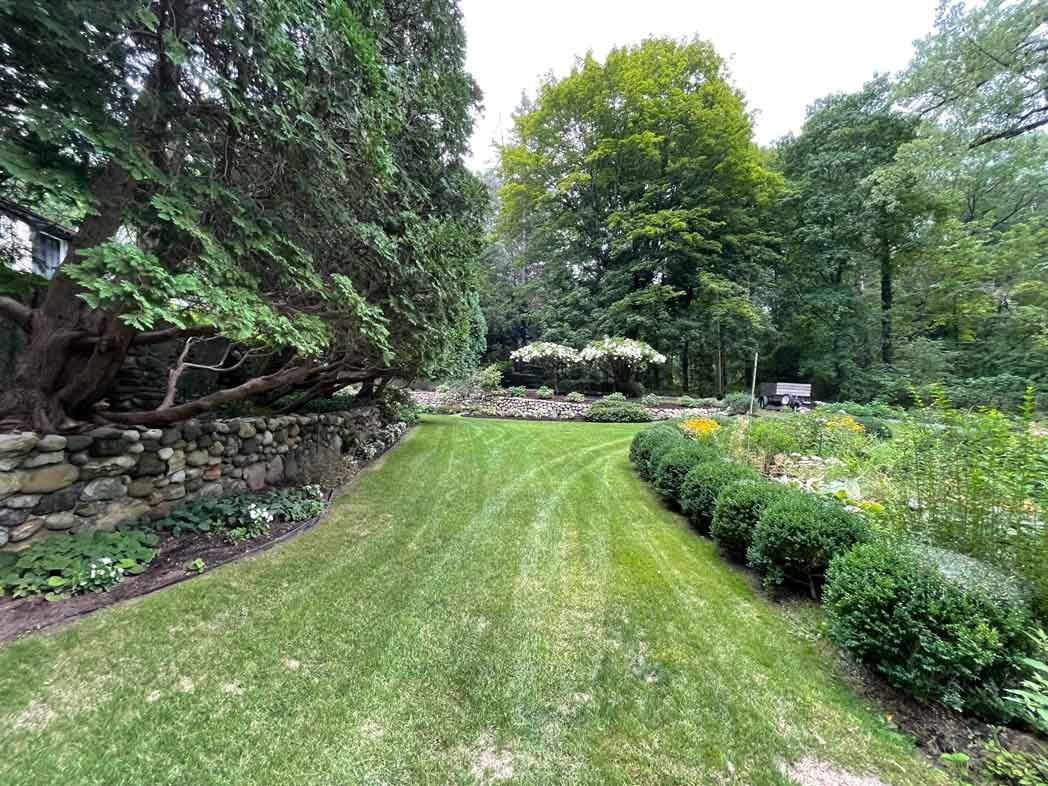 Grassy driveway flanked by a stone wall and trimmed hedges, leading to a garden and trees.