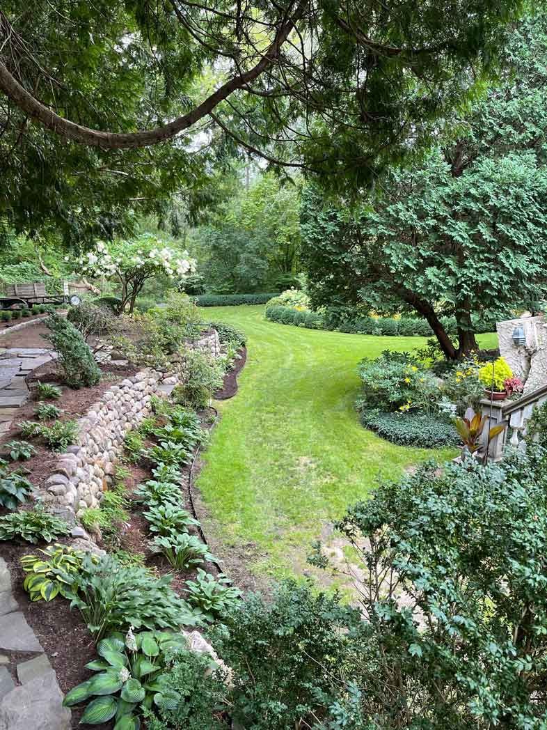 Lush green garden with stone wall, winding path, and trees; a bright, sunny scene.