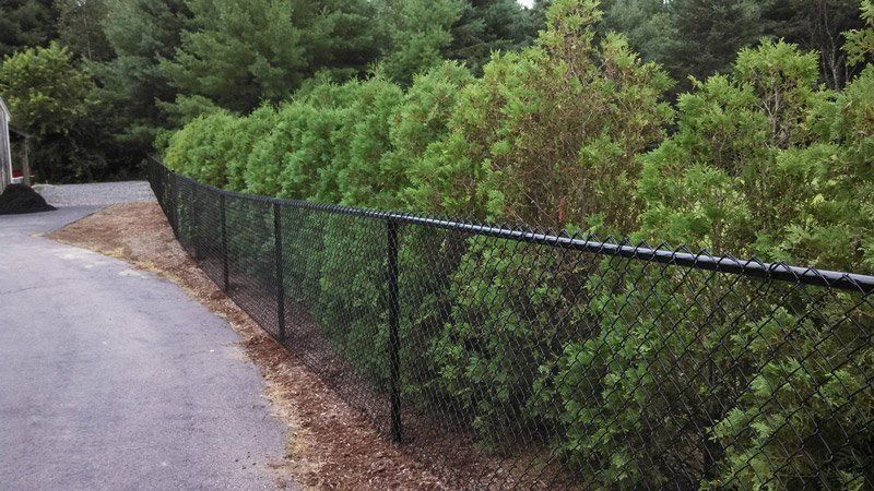 Chain Link Residential — Bourne, MA — Mr. Fence