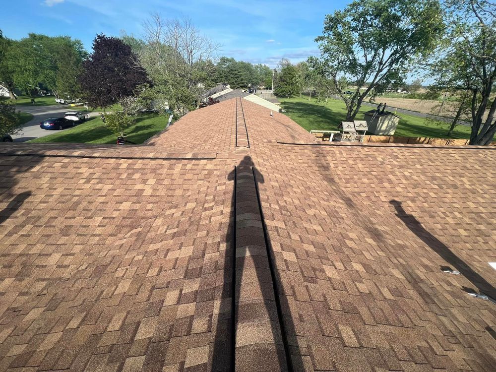 View from a roof with brown shingles, shadow in the middle, and trees/houses in the background.