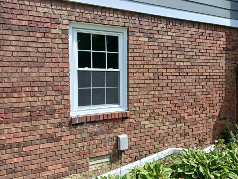 Brick exterior wall with white-framed window; electrical box below; some green plants.
