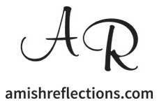 Amish Reflections logo