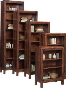Vienna 24” Bookcase Collection