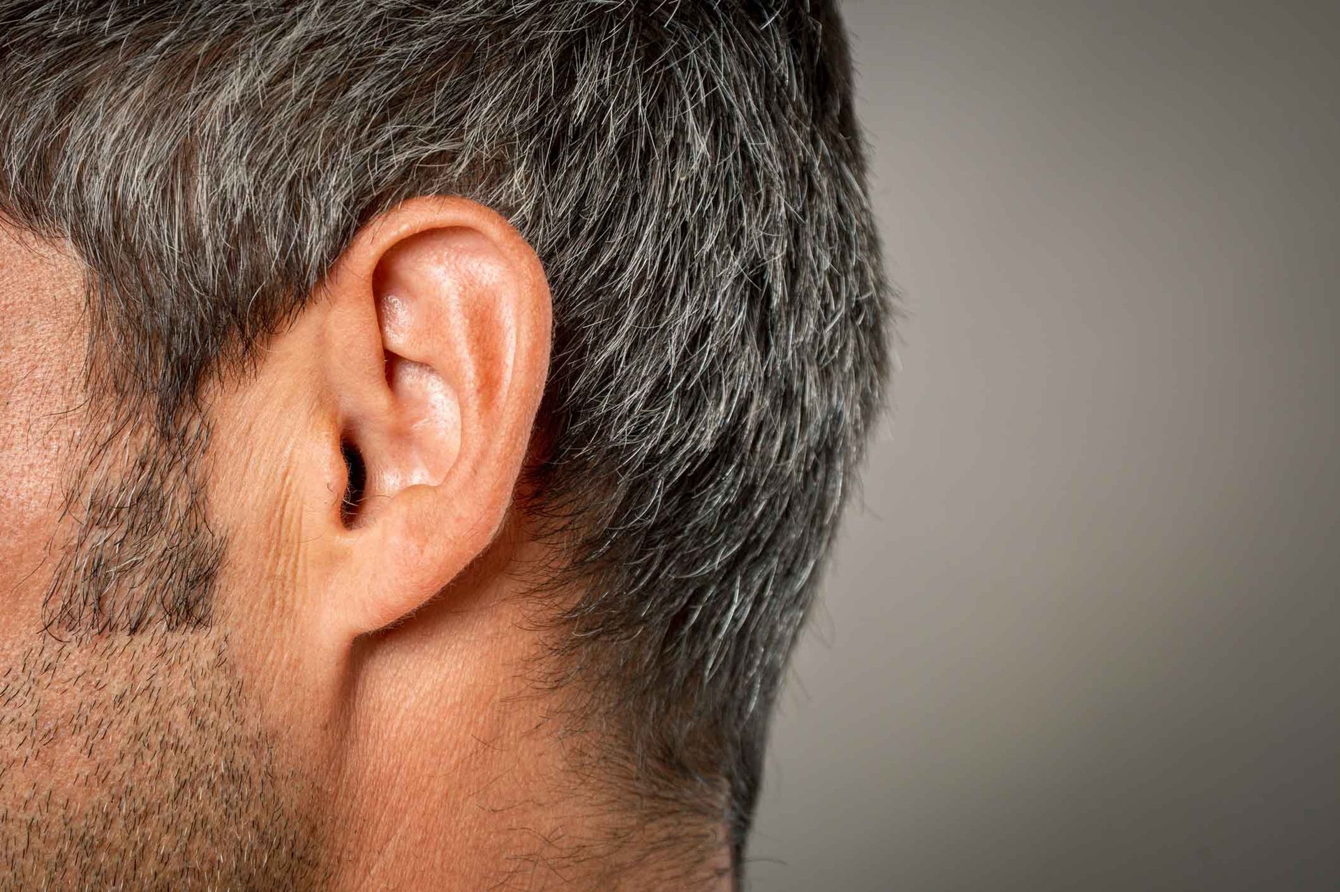 Close-up of a person's ear and side of head with short gray hair against a neutral background