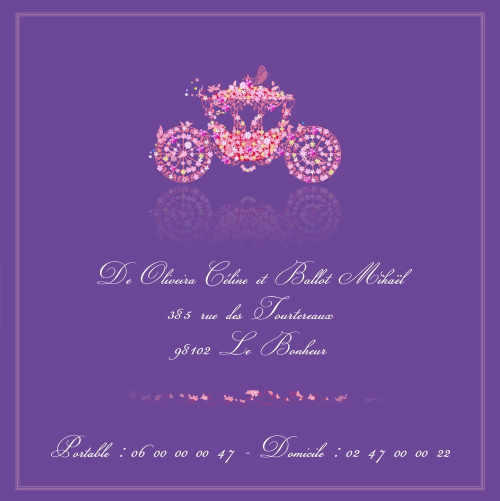 Dos faire-part studio coméléon