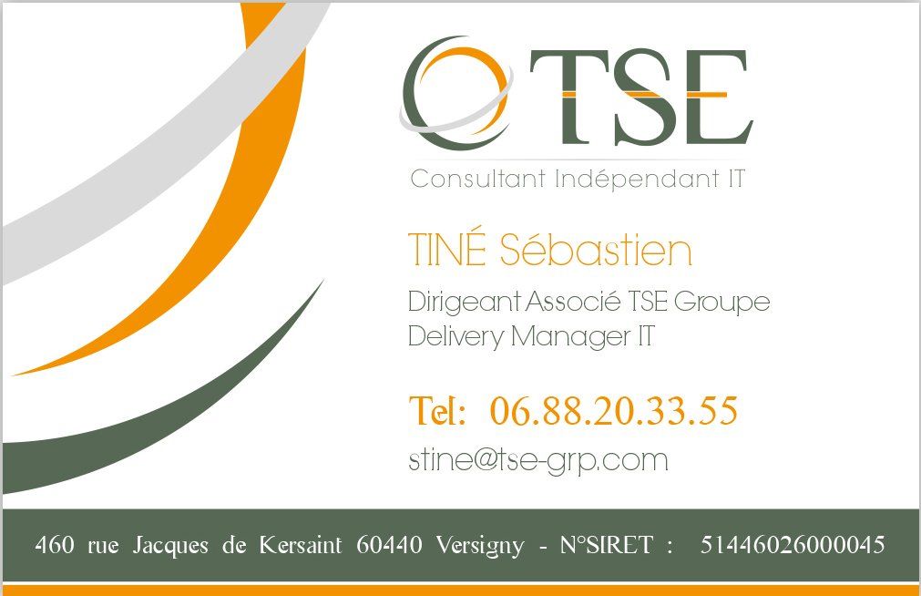recto carte de visite TSE consulting recto carte de visite TSE consulting