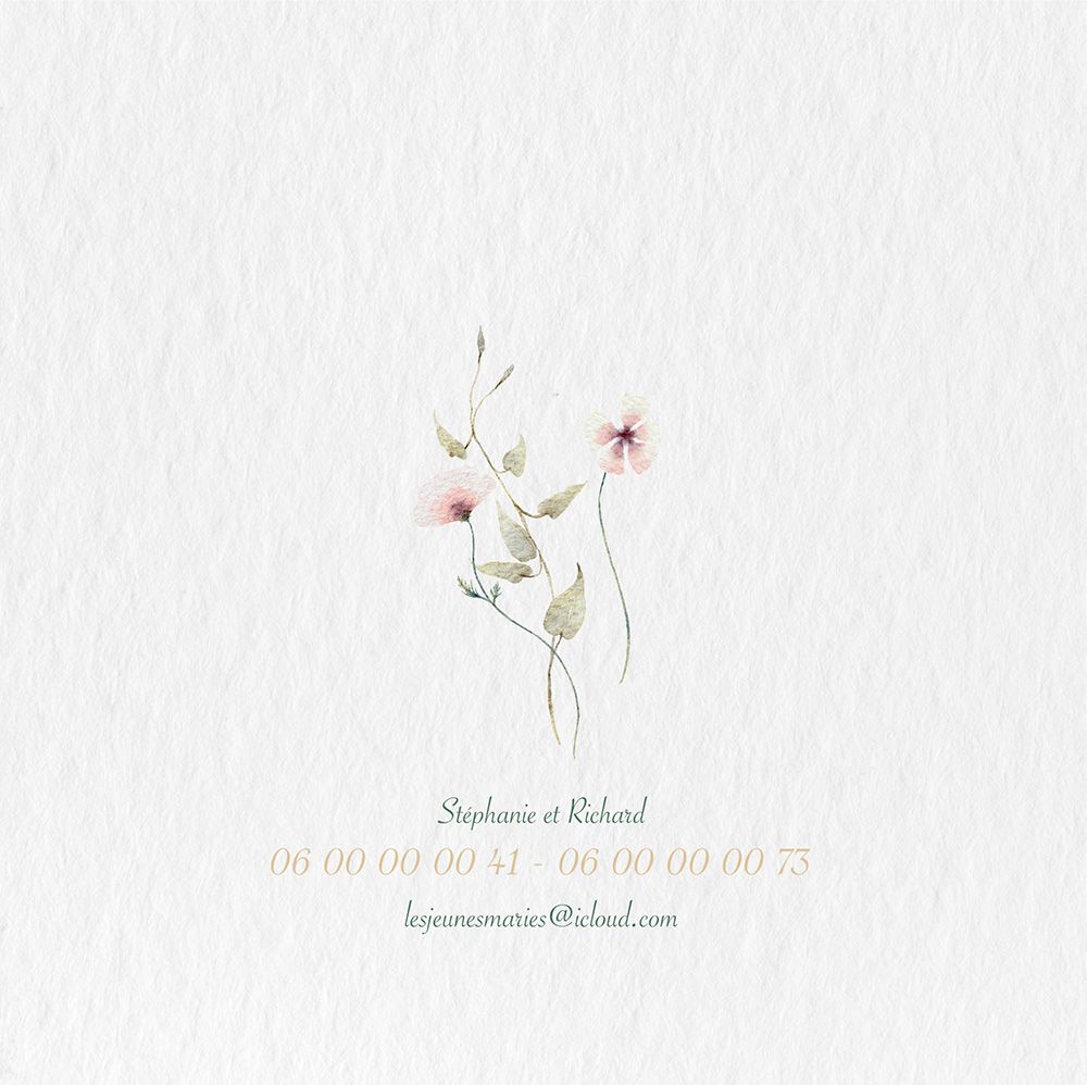 Dos faire-part studio coméléon