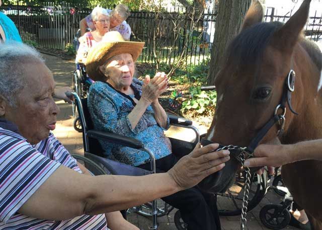 two old women with horse