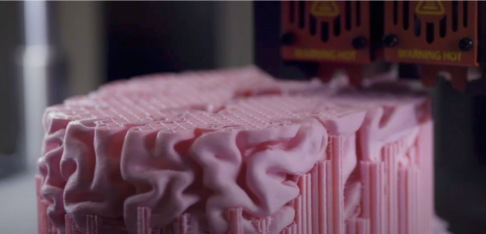 A close up of a brain being printed on a 3d printer.