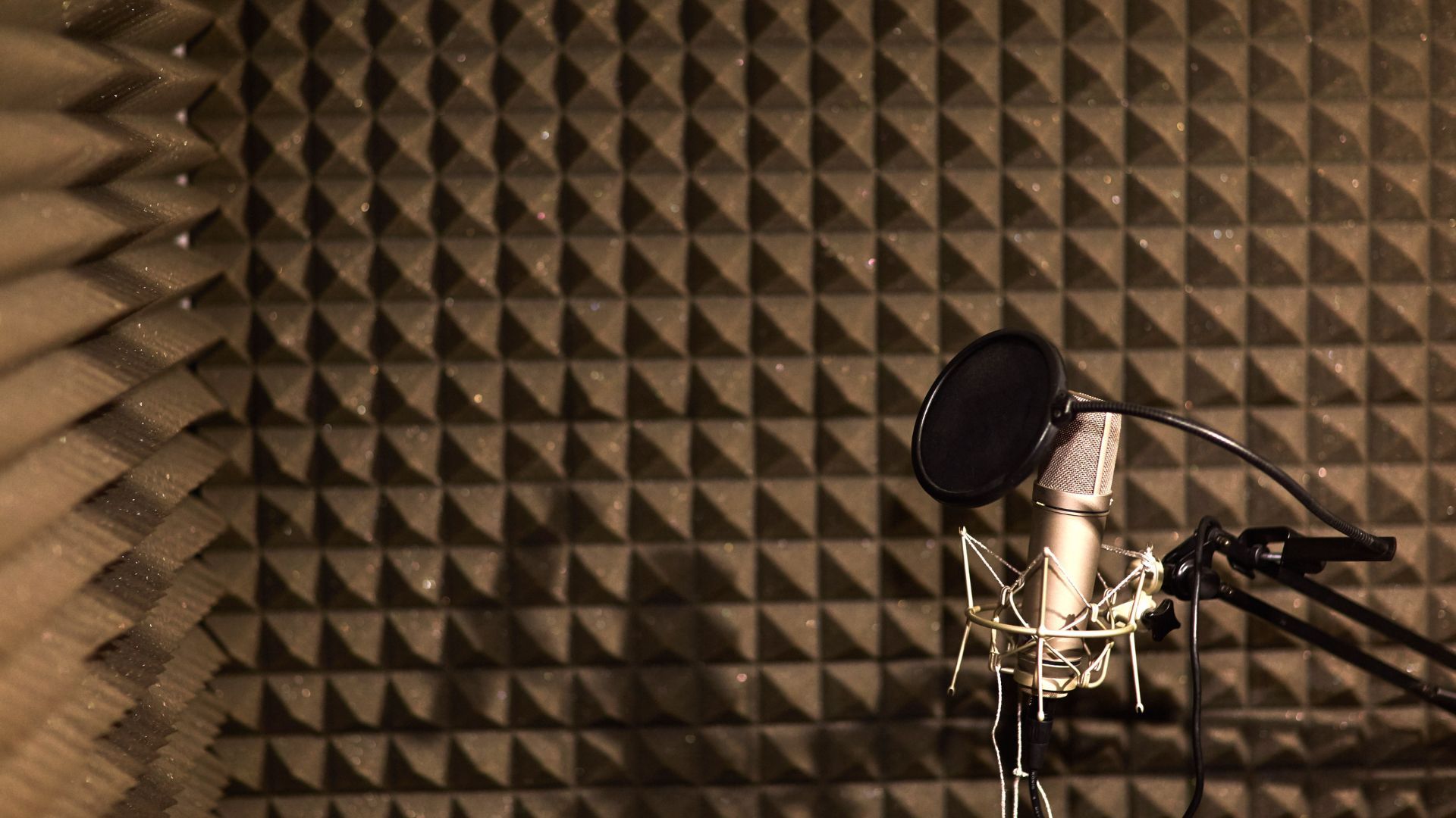 Microphone in a soundproof studio; dark, textured walls.