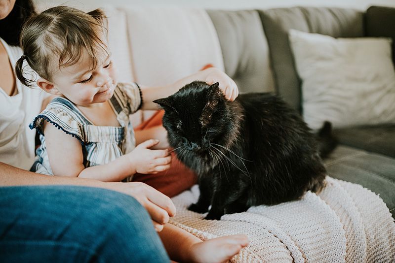 Cat with child on couch