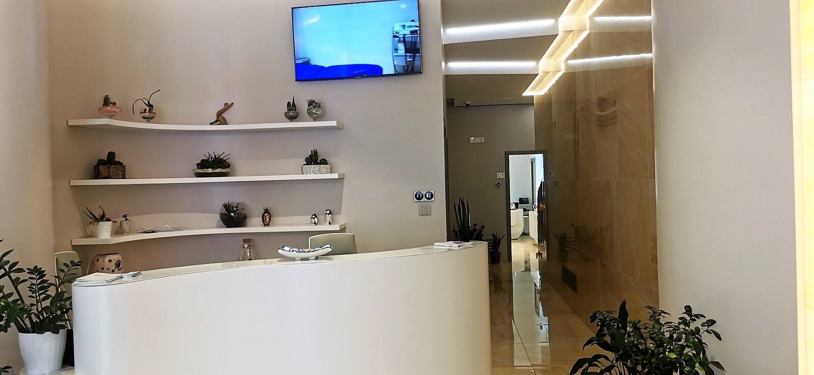 cerino center salerno