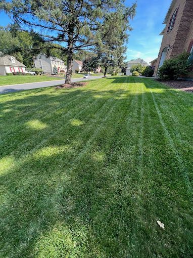 A lush green lawn in front of a house on a sunny day.