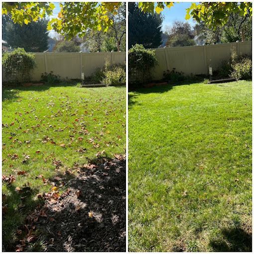 A before and after picture of a lawn with leaves on it.