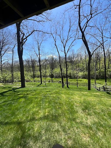 A lush green field with trees in the background on a sunny day.