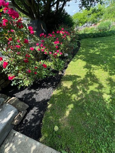 A lush green lawn surrounded by flowers and a tree.