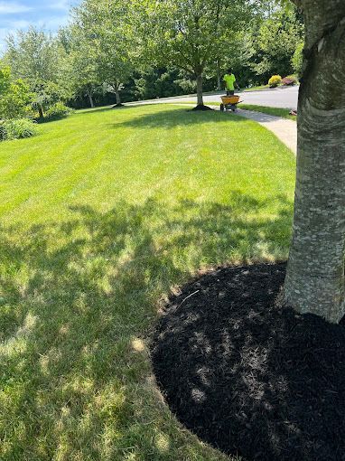 A person is mowing a lush green lawn next to a tree.