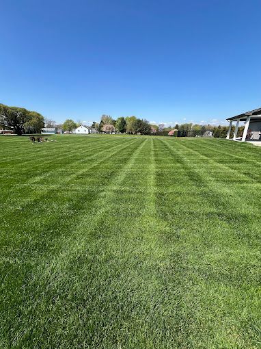 A lush green lawn with a house in the background on a sunny day.