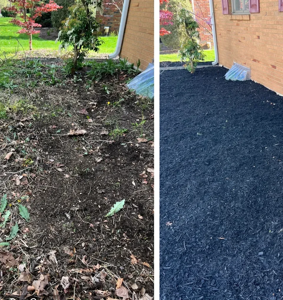 A row of plants with lights on them in a garden at night.