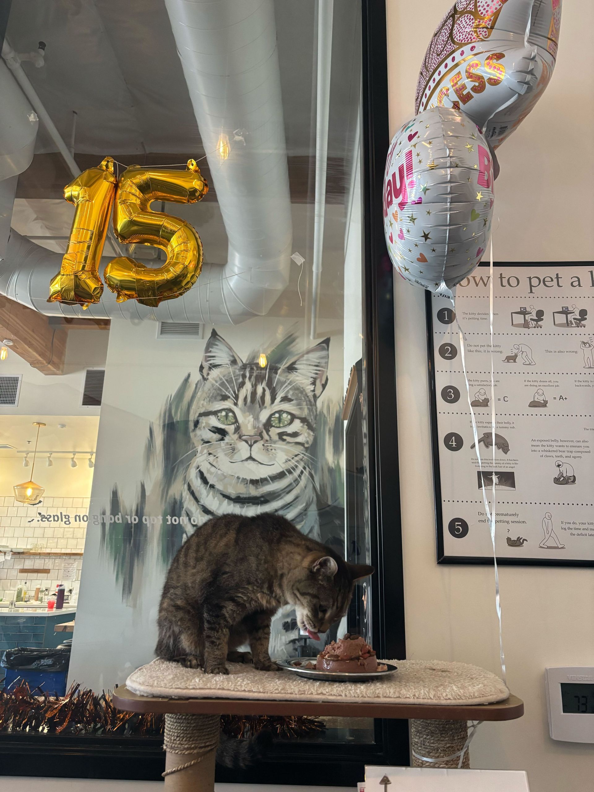 A cat is sitting on a cat tree with balloons and a painting of a cat in the background.