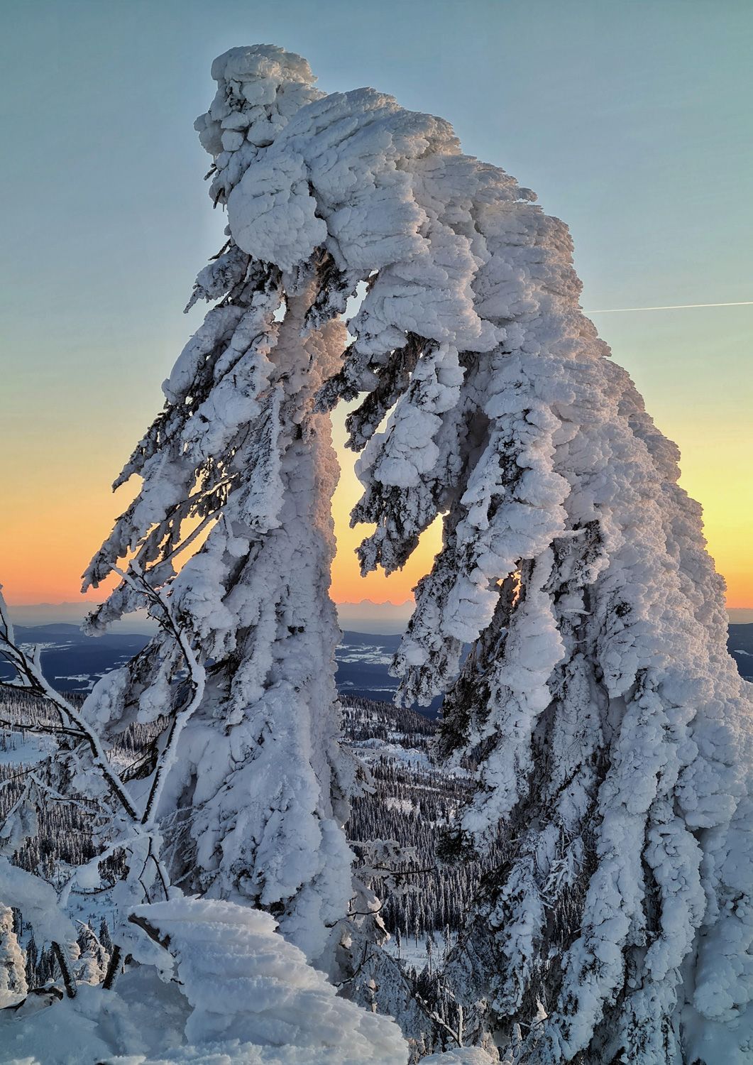 Arbermandl - Winter am Großen Arber