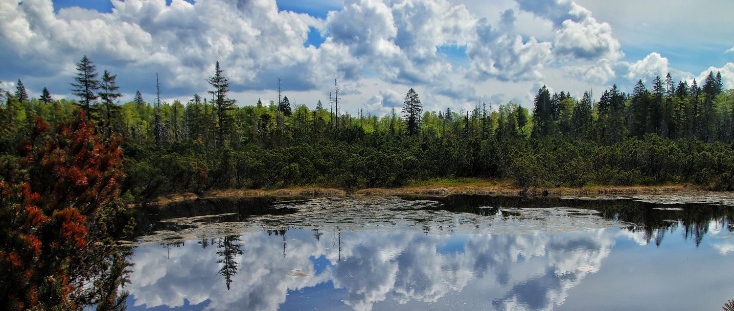 Eindrucksvolle Wanderung über den Hochschachten zum Latschensee