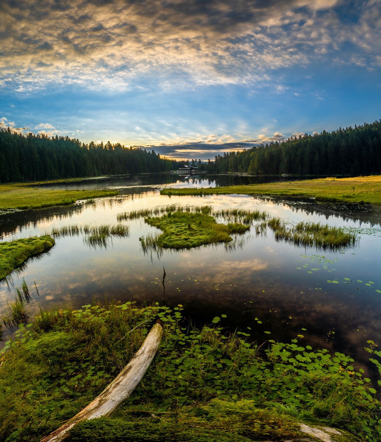 Großer Arbersee im Bayerischen Wald.