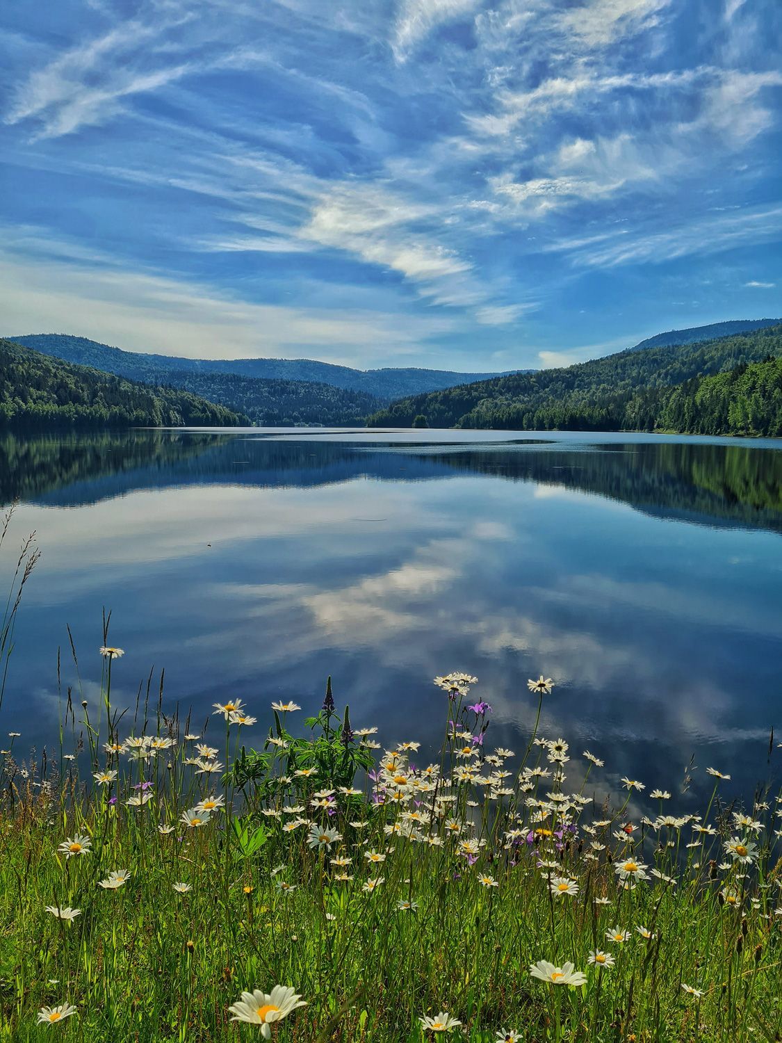 Trinkwassertalsperre Frauenau