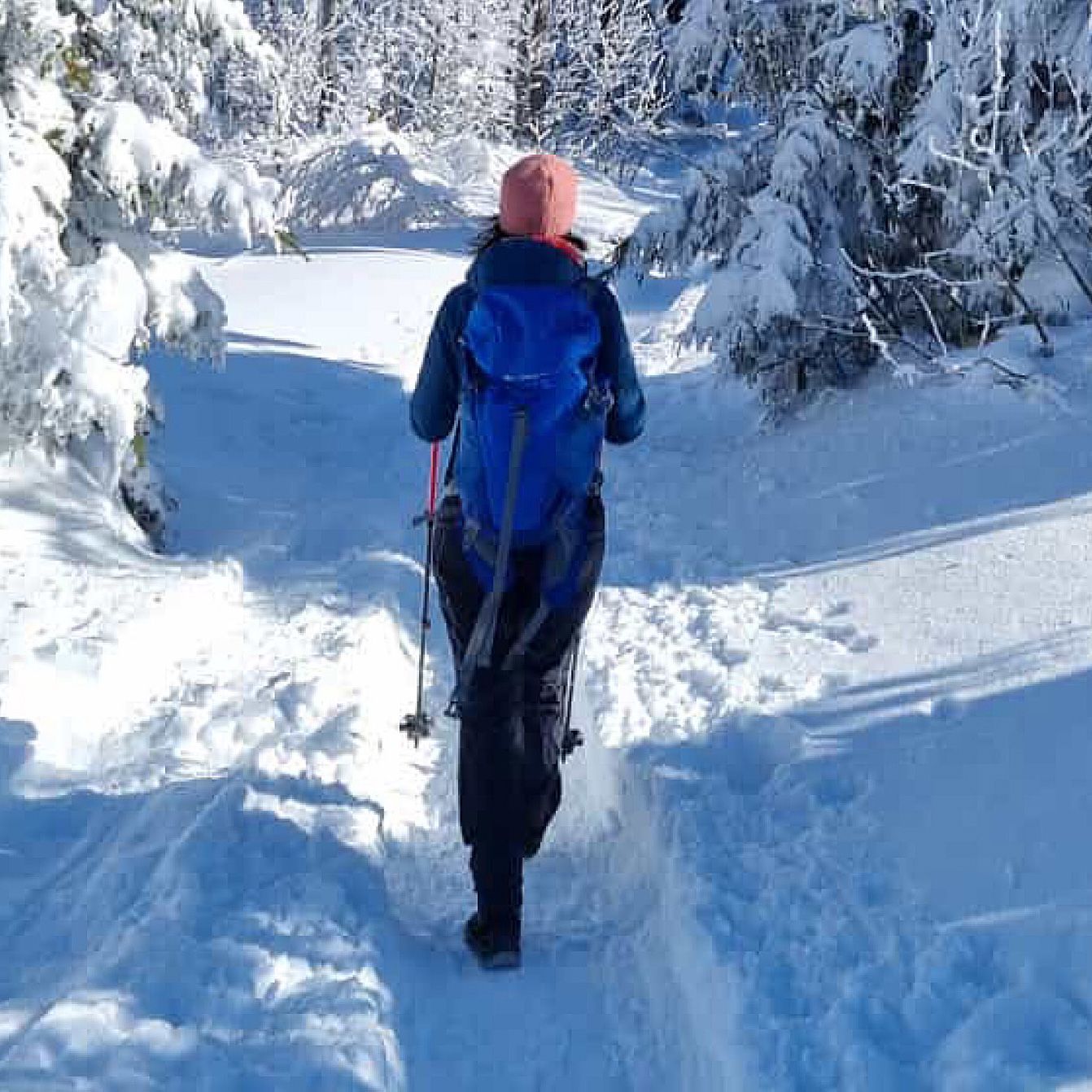 Traumhafte Winterwanderungen im Bayerischen Wald rund um die Glasstadt Zwiesel.