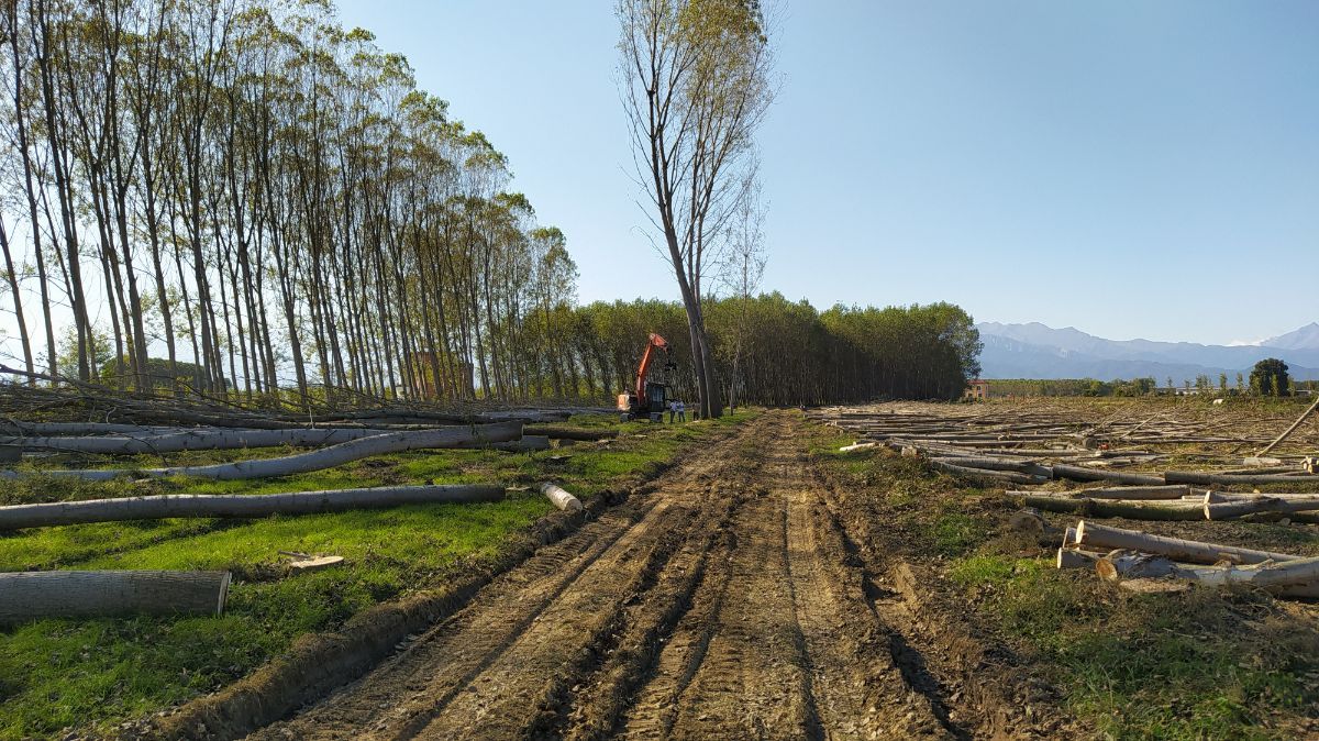 Mezzo per coltivazione