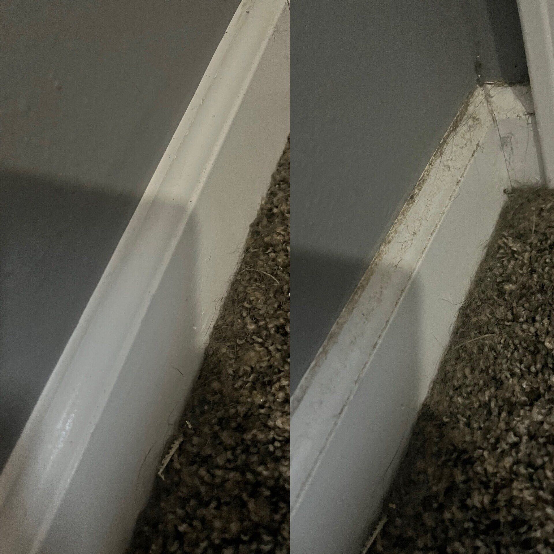 Kansas City, MO — Cleaning Maids In and Out, deep cleaning, top to bottom, housekeeping, maid service, cleaning, clean, cleaners, cleaning company, laundry service, window washing, carpet cleaning, carpet shampooing,Client Side Walls Before and After — Kansas City, MO — Cleaning Maids In and Out