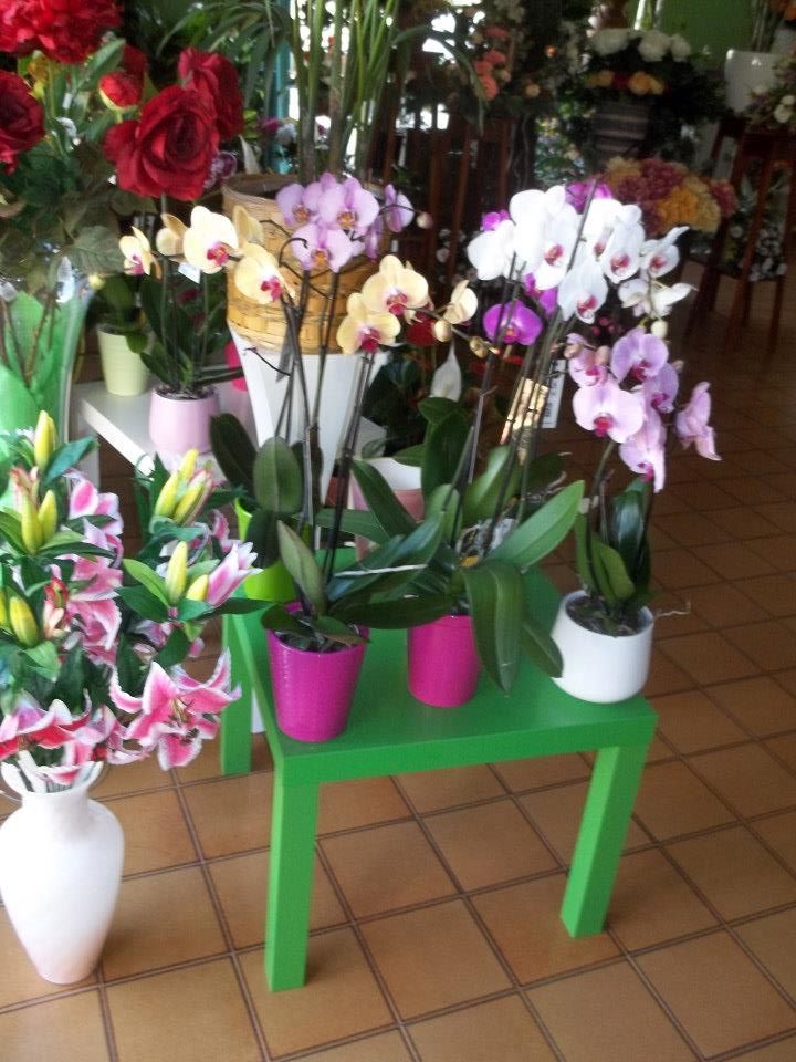 vendita di piante e fiori