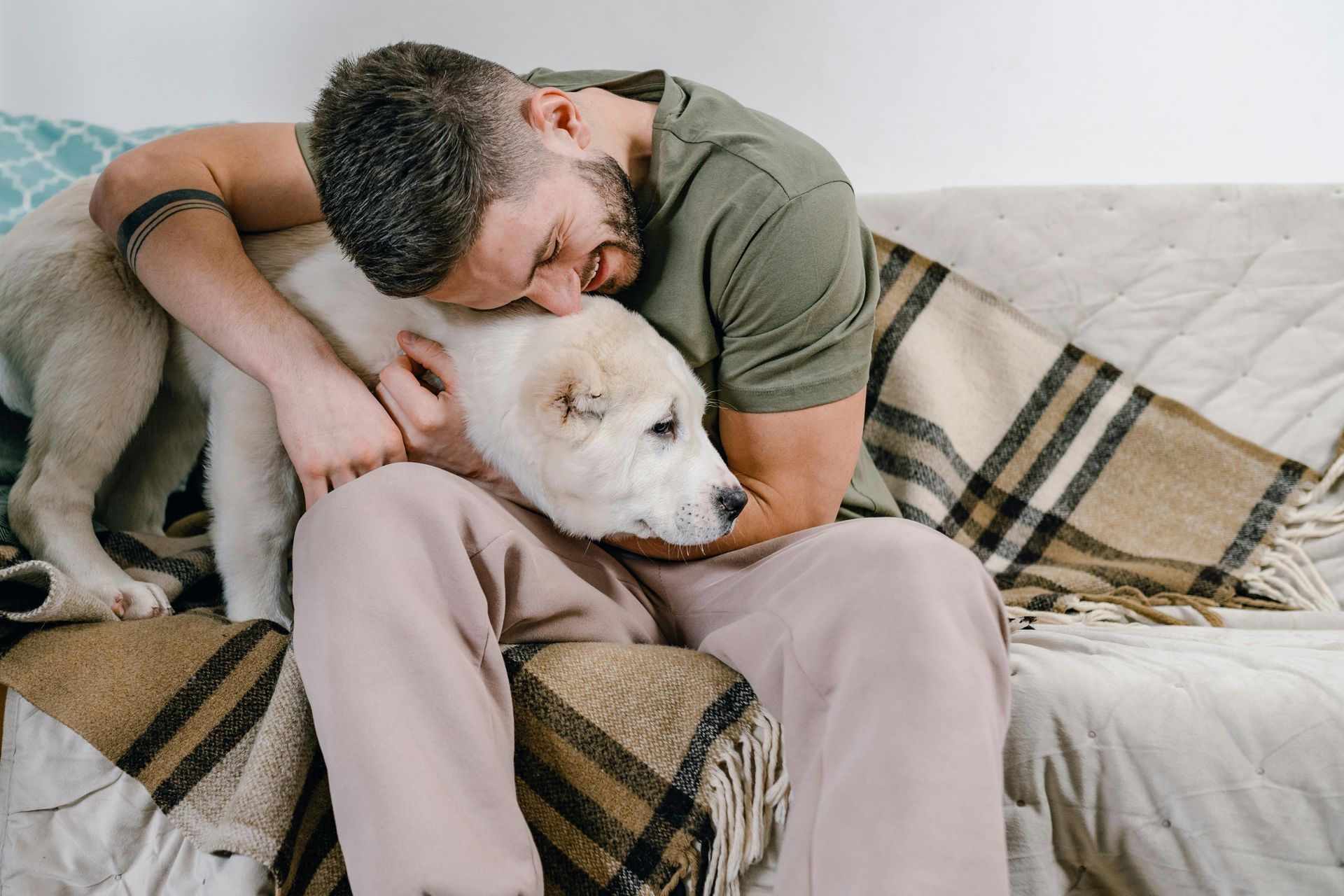 Uomo che abbraccia un cane bianco su un divano, in casa. Coperta marrone, cuscino verde acqua.