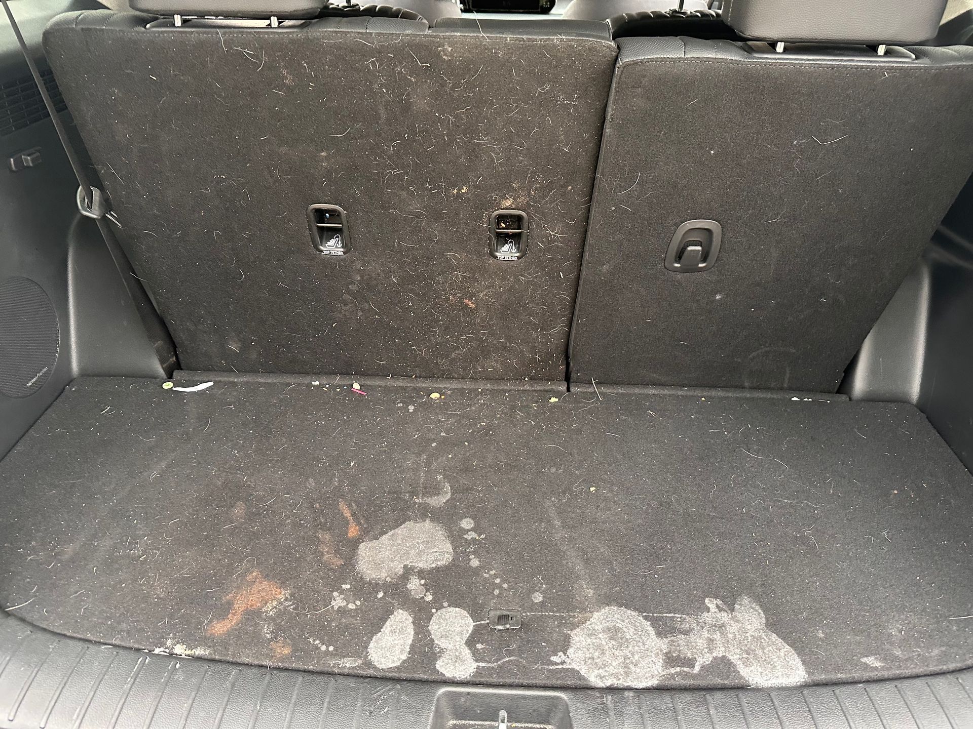 Dirty car trunk with stains on carpet and back seats.