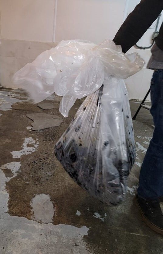 Person carrying a large, filled, clear plastic bag in a basement. The bag is filled with dark debris.
