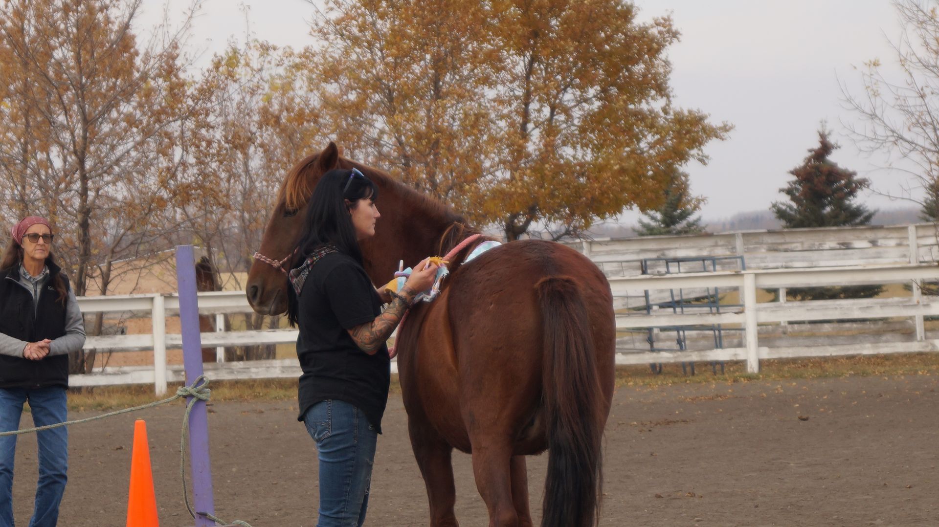 A woman is standing next to a brown horse in a fenced in area.