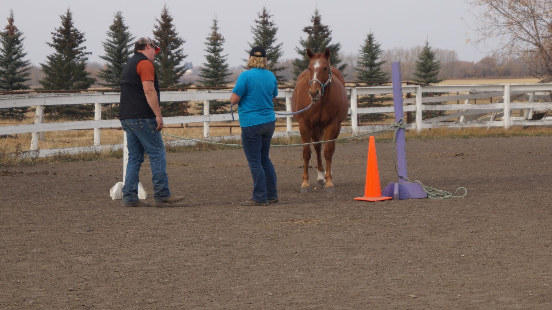 A man and a woman are standing next to a horse in a fenced in area