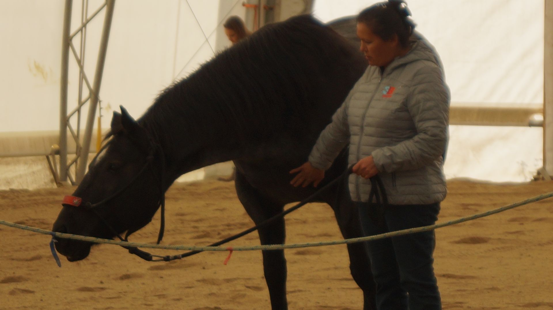 A woman is standing next to a black horse on a leash.