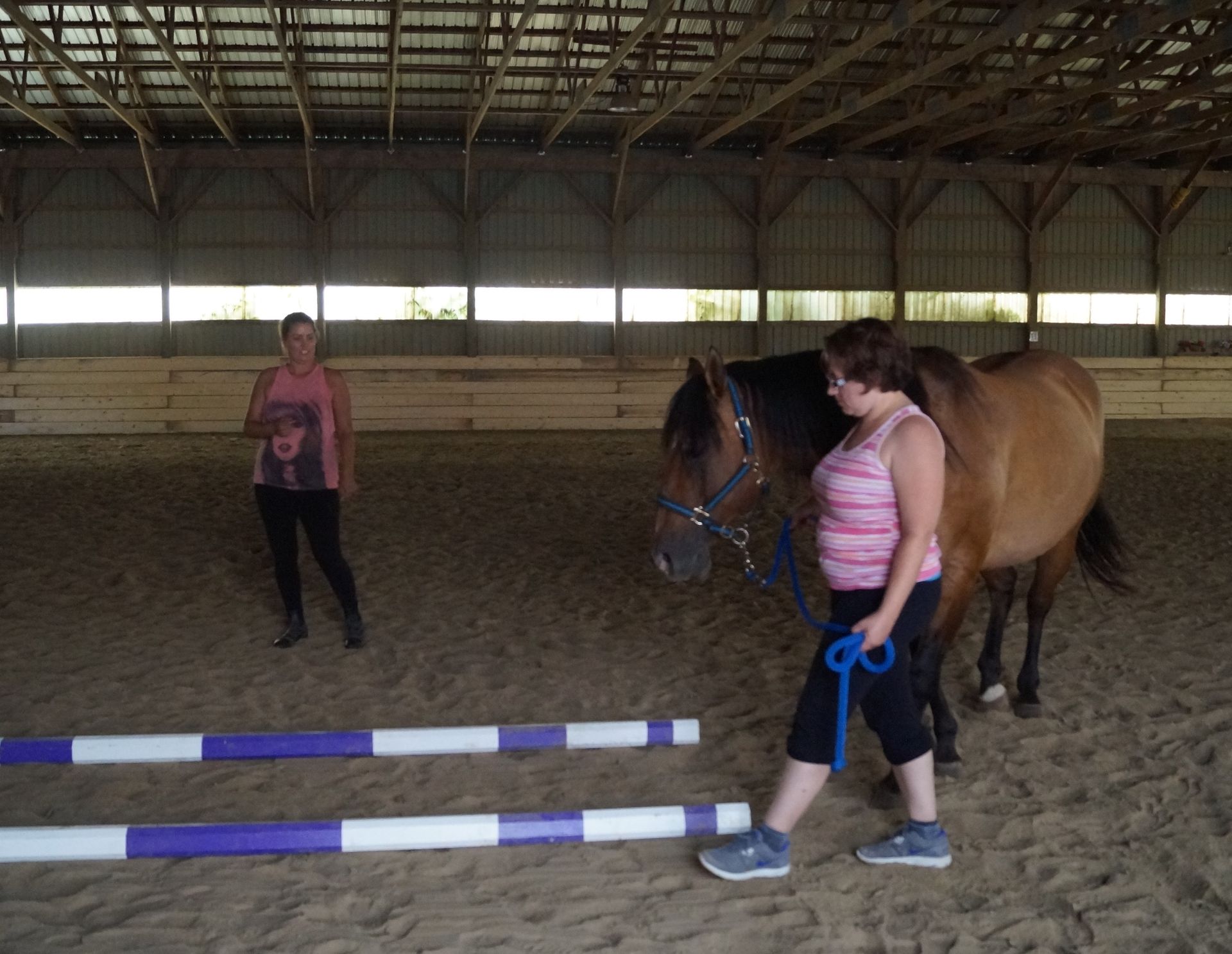 A woman walking a brown horse in a stable
