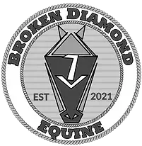 A black and white logo for broken diamond equine.