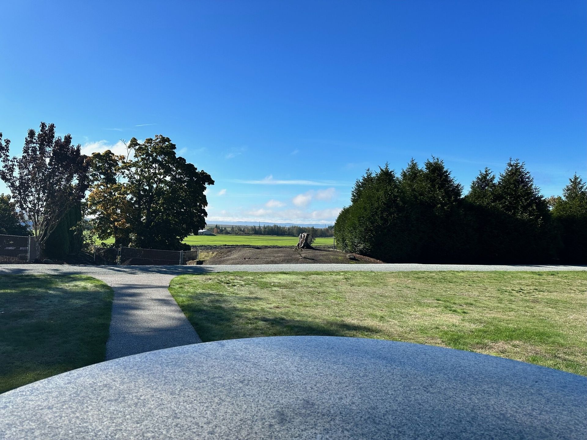 A sunny landscape with a pathway, trees, and a field under a bright blue sky.