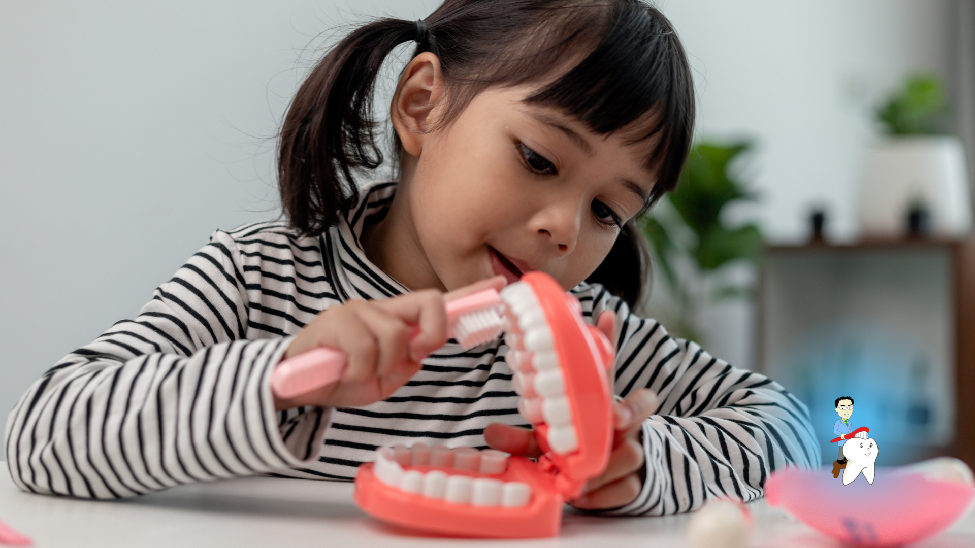 A little girl is brushing her teeth with a toothbrush on a model of teeth.