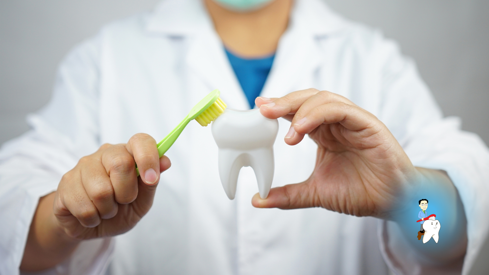 Person in lab coat brushes a large tooth model with a toothbrush, demonstrating oral hygiene.