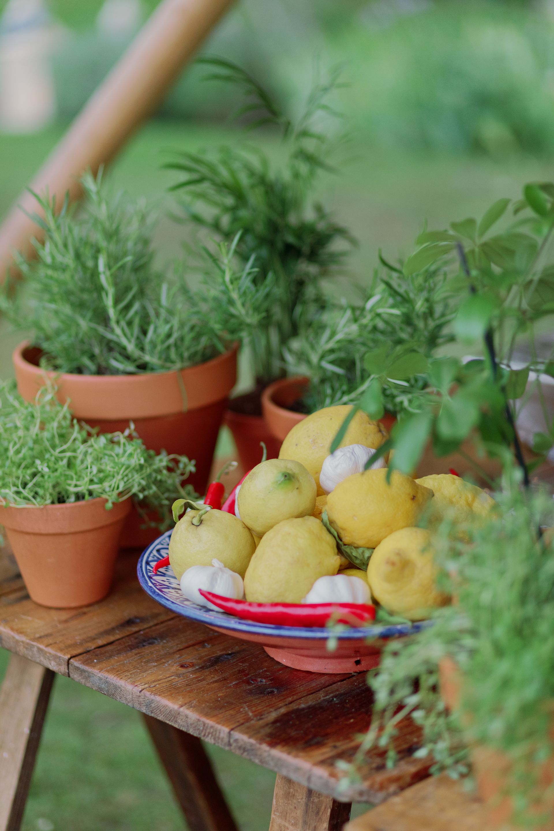 Fresh fruit and herbs for the BBQ